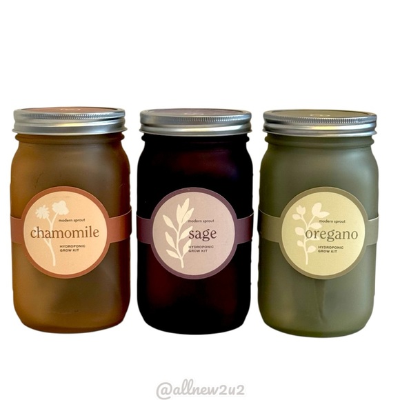 Set of 3 Herb Garden Jars Host Pick - Picture 3 of 16